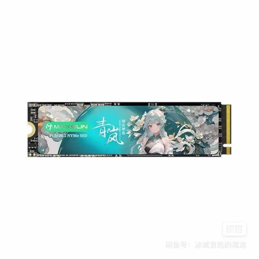 미니썬 칭란 NM300A 512GB SSD, PCIe  - M.2 Ssd 리뷰 및 가격
